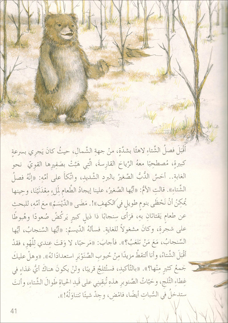 The Jungle's Mystery Series (Set of 8 Books) سلسلة الغاز الغابة