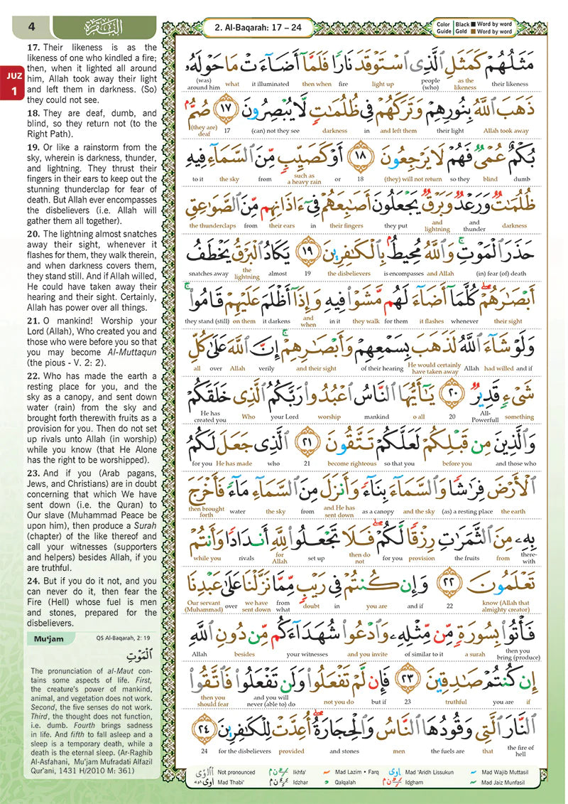 Al-Quran Al-Karim The Noble Quran Green-Large Size A4 (30x21 cm) |Maqdis Quran