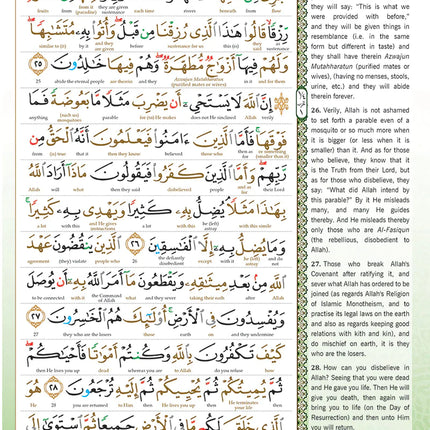 Al-Quran Al-Karim The Noble Quran Green-Medium size B5 (25x17.5 cm) |Maqdis Quran