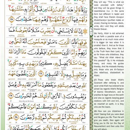 Al-Quran Al-Karim The Noble Quran Blue-Medium size B5 (25x17.5 cm)|Maqdis Quran