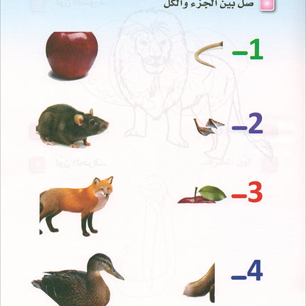 Arabic is the Language of Tomorrow for Children: Pre-k العربية لغة الغد
