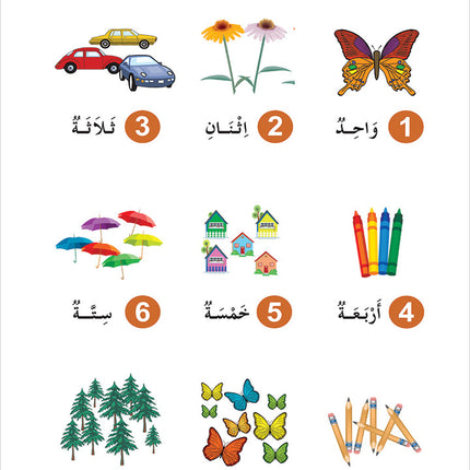 Contemporary Arabic - Reading and Exercises: Level 1 (A1, Beginner Level) العربية المعاصرة - القراءة و التمارين