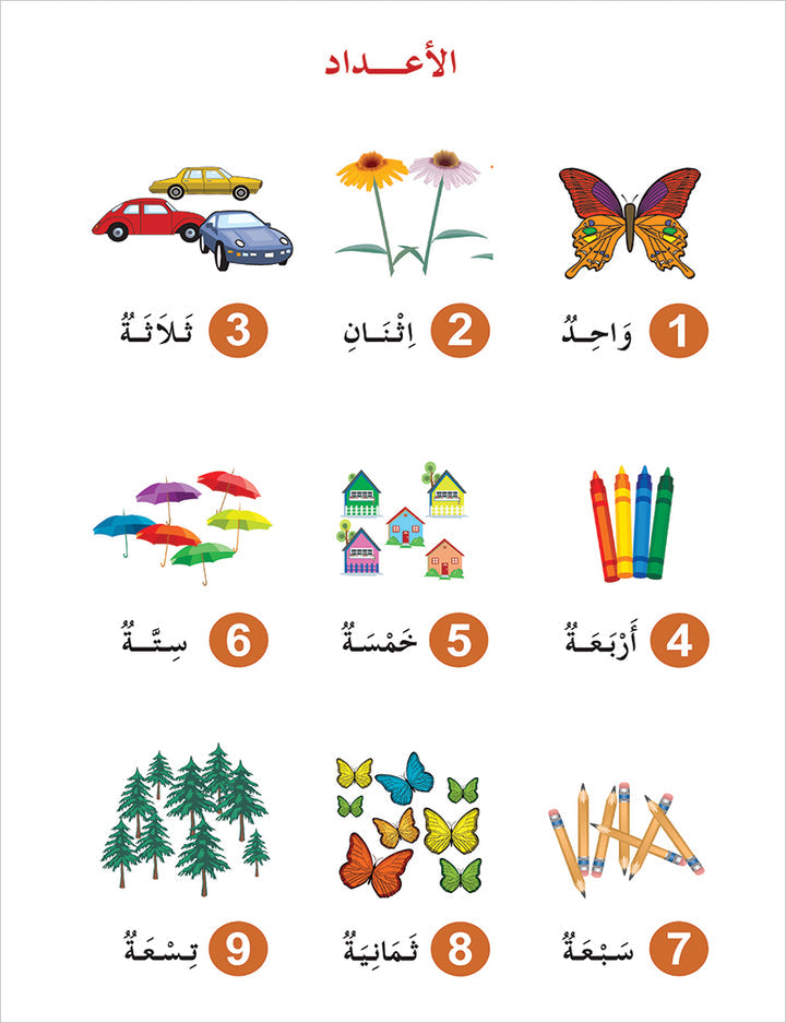 Contemporary Arabic - Reading and Exercises: Level 1 العربية المعاصرة - القراءة و التمارين