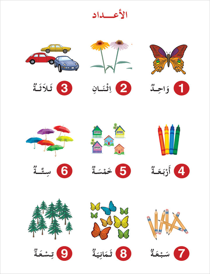 Contemporary Arabic - Reading and Exercises: Level 2 العربية المعاصرة - القراءة و التمارين