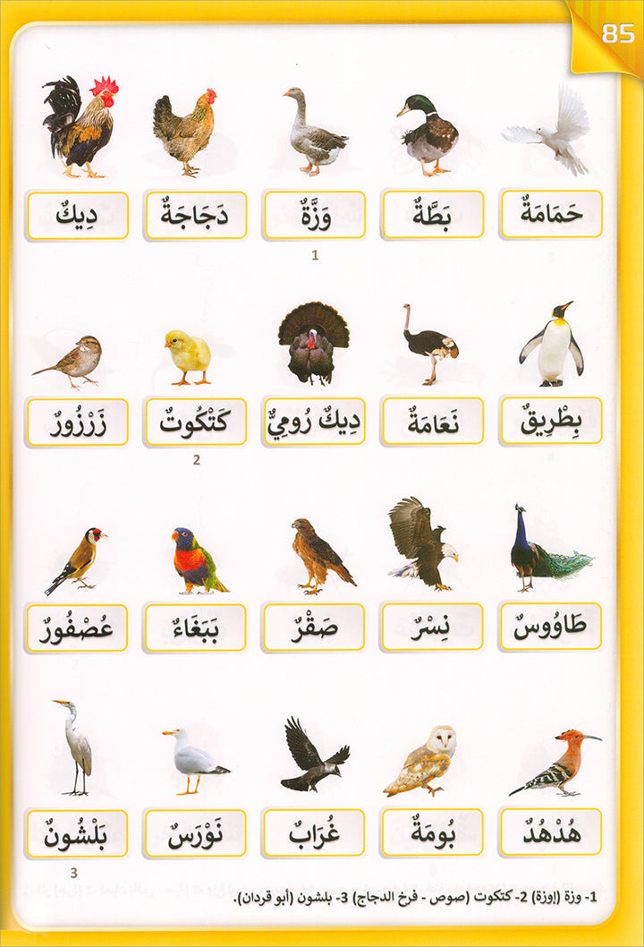 The Integrated Establishment: Alphabet Picture Dictionary Book, Level 5 التأسيس المتكامل: كتاب معجم صور الحروف