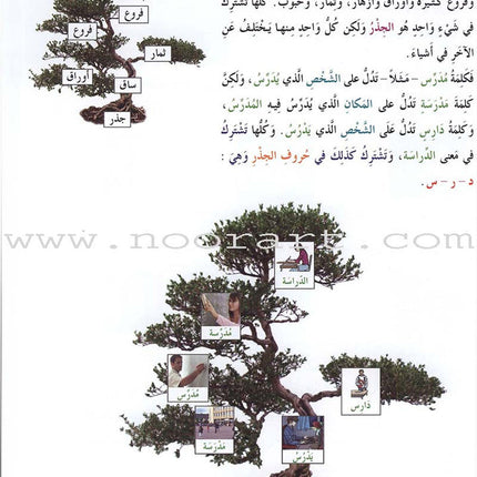 Arabic for Youth Textbook: Level 3 العربية للشباب كتاب التلميذ