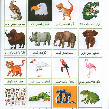 I Love and Learn the Arabic Language Textbook: Level 4 (New Edition) أحب و أتعلم اللغة العربية كتاب التلميذ