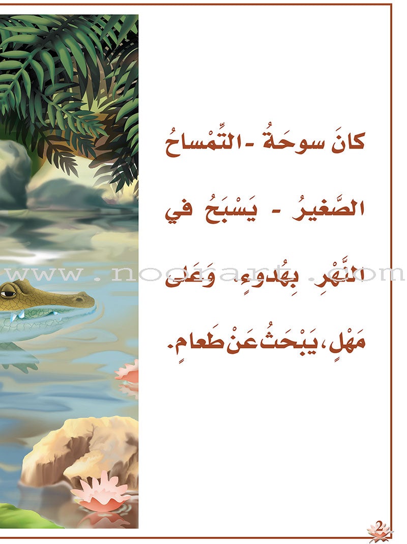 Reading Program in the Arabic Language: Level 3 (Set of 12 books)