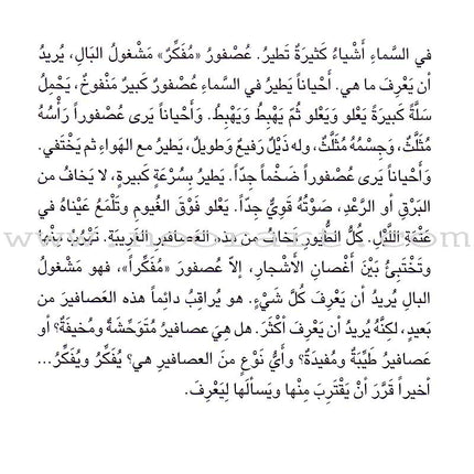 Step by Step Stories - In the Sky: Level 5 (3 Books) قصص خطوة خطوة