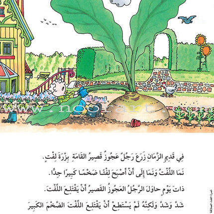 The Useful Reading Series: Level 1 (Set of 4 Books) سلسلة المطالعة المفيدة: المستوى الأول