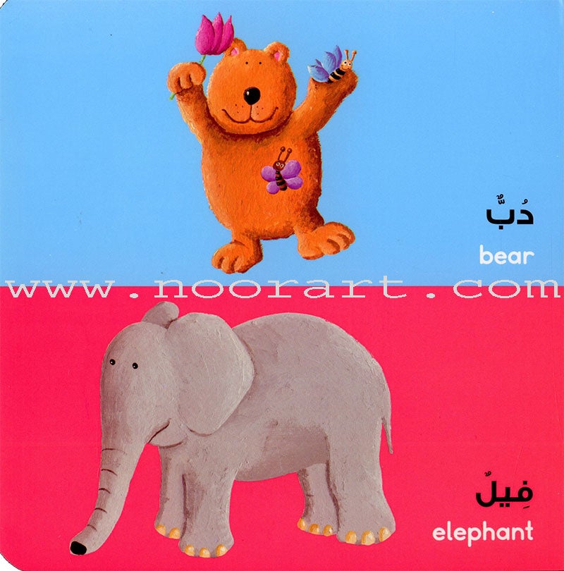 Arabic Words Board Book