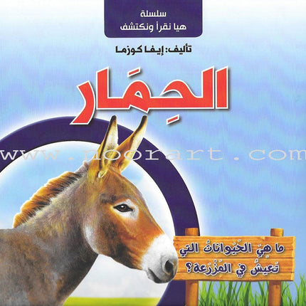 Let's Read and Discover Series (set of 5 books)