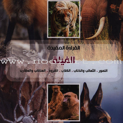 Useful Reading Series - Elephants - Level A2