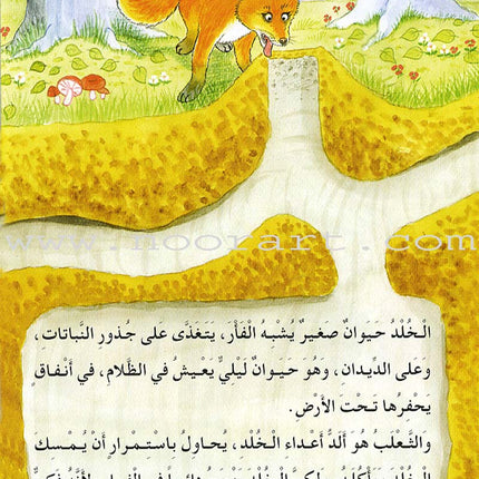 My Grandfather Stories (10 Books) حكايات جدي
