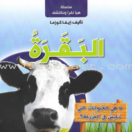 Let's Read and Discover Series (set of 5 books)