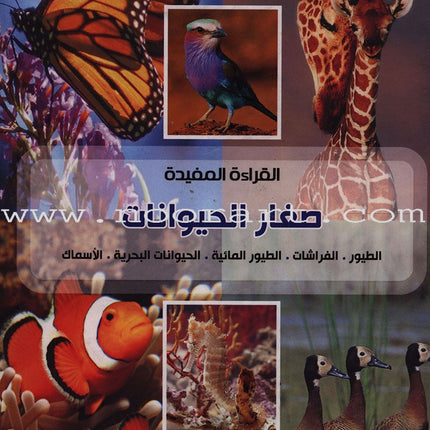 Useful Reading Series - Animals' Babies - Level A1 القراءة المفيدة - صغار الحيوانات