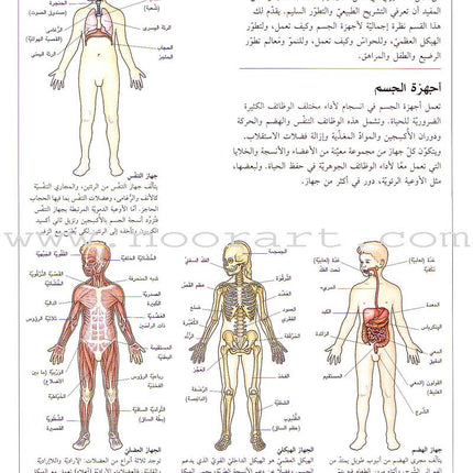 When your Child Gets Sick عندما يمرض طفلك