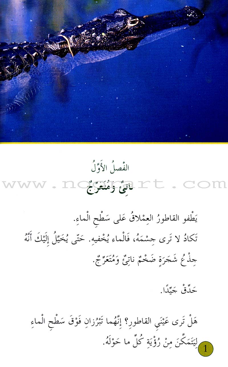 Scholastic My Arabic Library Grade 4 (set of 30 books, with Teacher Guide) مكتبتي العربية