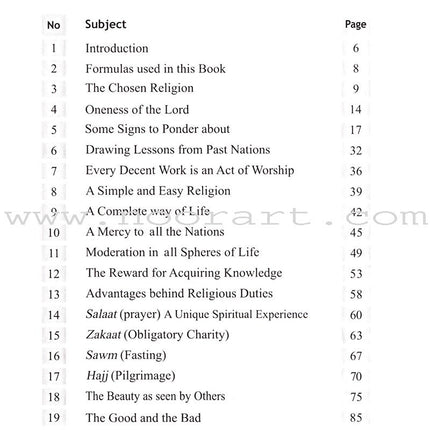 A Glimpse at the Beauty of Islam