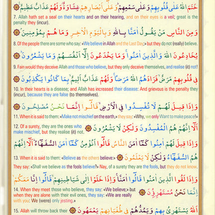 The Holy Qur'an Color-Coded Translation with Arabic Text (Large Size, 8 x 11")