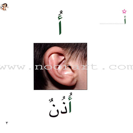 Ladder Reading Stories Box (28 Alphabets) قصص سلم القراءة داخل علبة