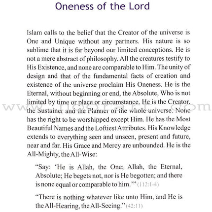 A Glimpse at the Beauty of Islam