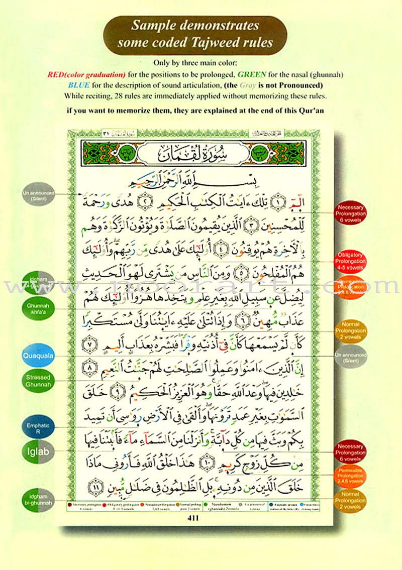 Tajweed Qur'an (Whole Qur'an, With Meaning Translation in English) (Colors May Vary) مصحف التجويد