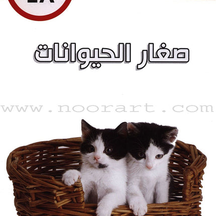 Useful Reading Series - Animals' Babies - Level A1 القراءة المفيدة - صغار الحيوانات