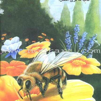 The Reader's Club: Level 3 (18 Books) نادي القراء - المستوى الثالث