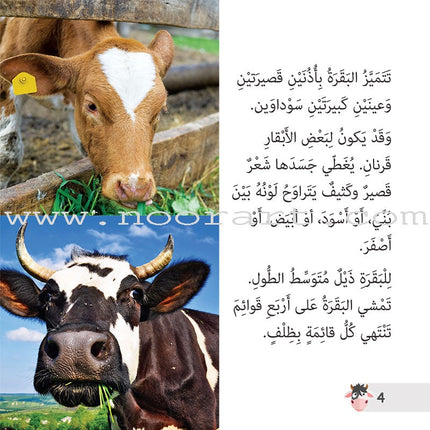 Let's Read and Discover Series (set of 5 books)