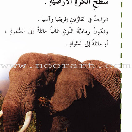 Useful Reading Series - Elephants - Level A2