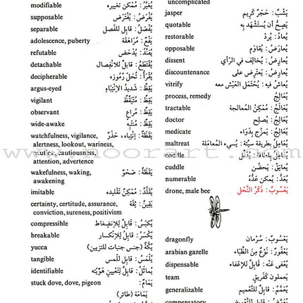 Student's Intermediate Dictionary Arabic-English