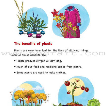 Everything Points to Allah - The Colorful World of Plants