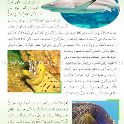 Amazing Animals of the World (8 books)