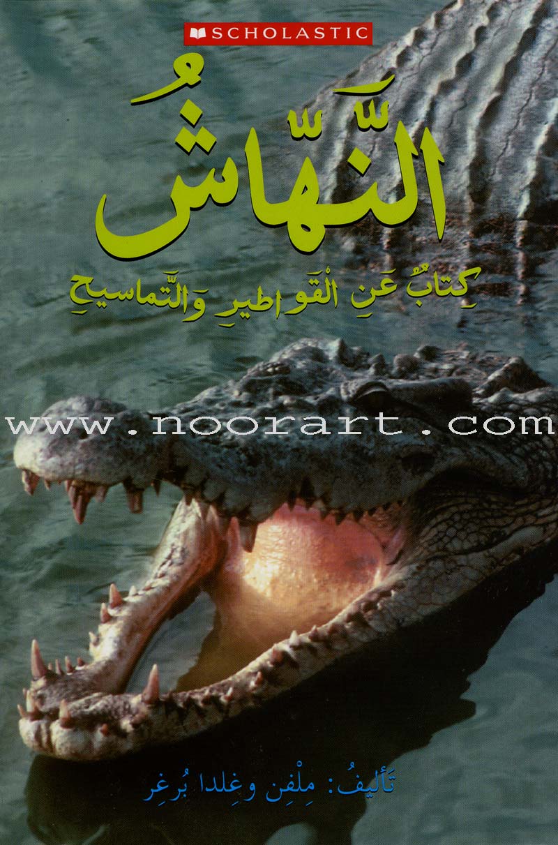 Scholastic My Arabic Library Grade 4 (set of 30 books, with Teacher Guide) مكتبتي العربية