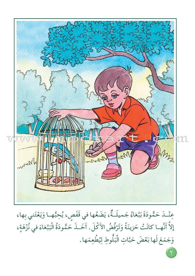 Arabic Graded Stories: Grade 3 (4 Books) مشروع المنهل التعليمي