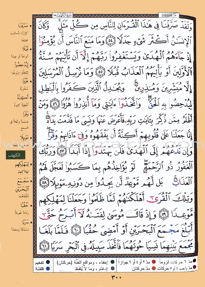 Tajweed Quran Velvet and Golden/Silver Panel (Hafs Narration)