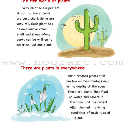 Everything Points to Allah - The Colorful World of Plants