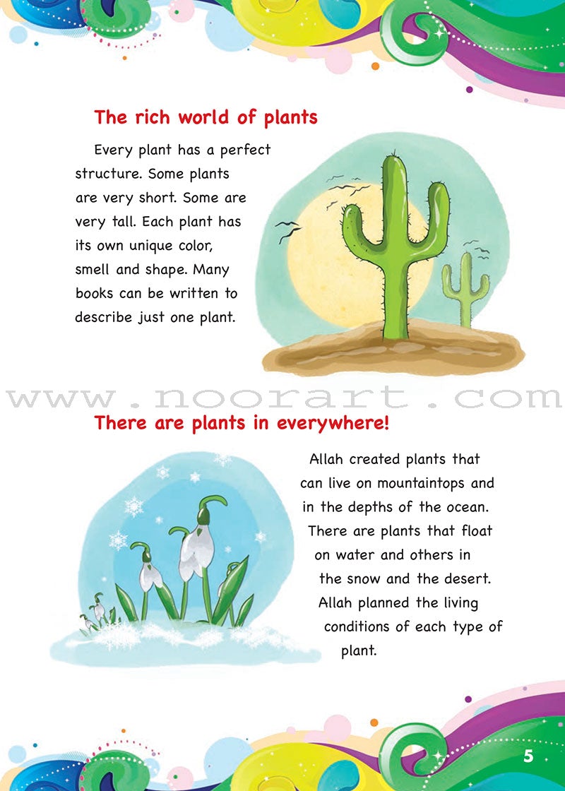 Everything Points to Allah - The Colorful World of Plants