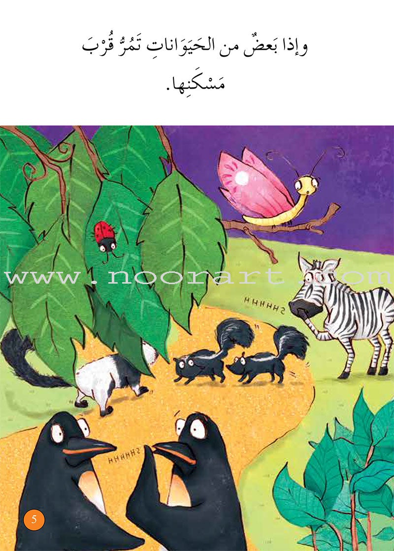 Graded Reading Series Orange Group Level 6 (Set of 5 Books) سلسلة القراءة المتدرجة مجموعة اللون البرتقالي