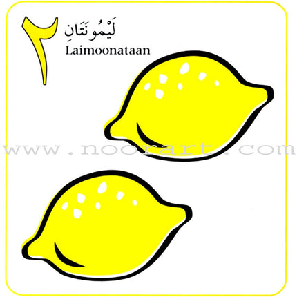My Arabic Number Book