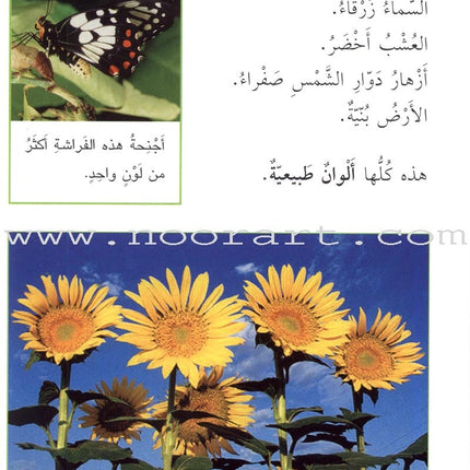 Science Basics: Level 2 (3 Books) أساسيات العلوم
