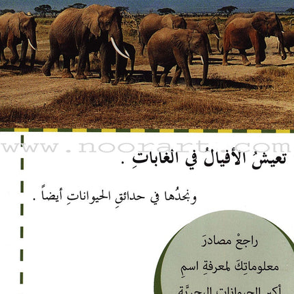 Useful Reading Series - Elephants - Level A2