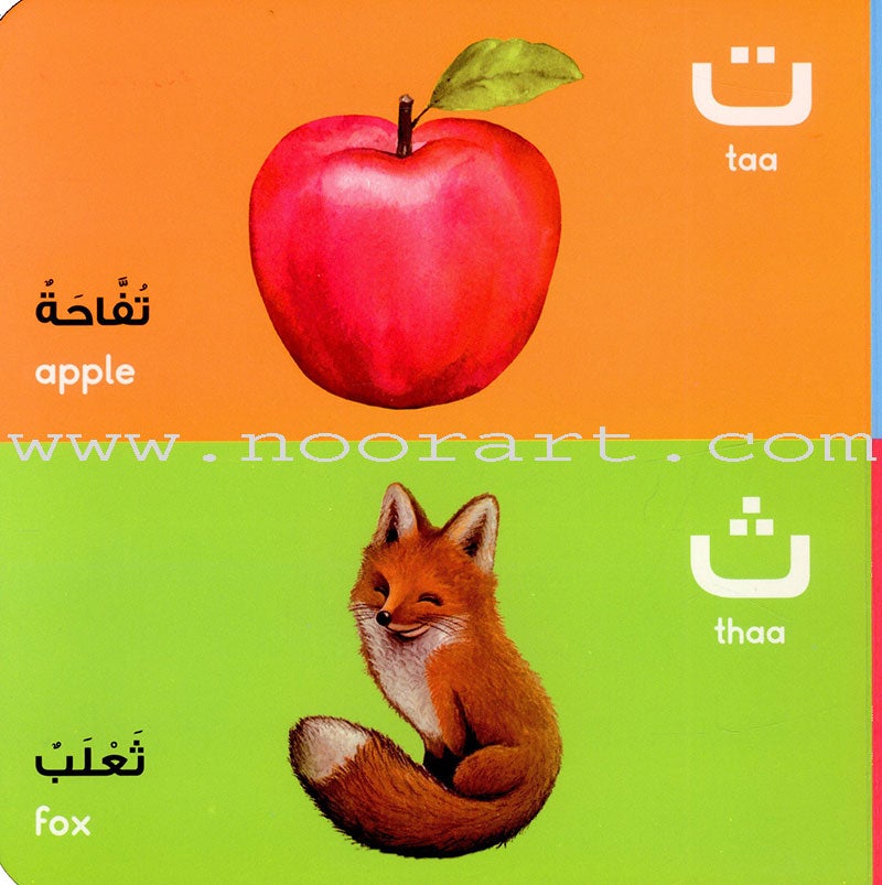 Arabic Alphabet Board Book