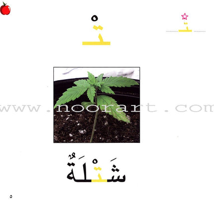Ladder Reading Stories Box (28 Alphabets) قصص سلم القراءة داخل علبة