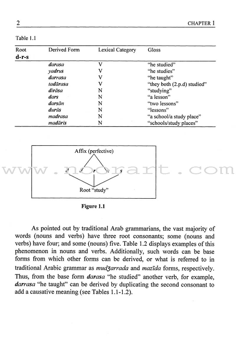 Arabic Second Language Acquisition of Morphosyntax