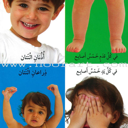 First 100 Illustrated Words About Numbers