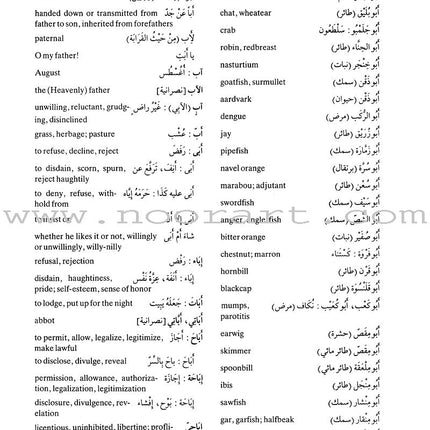 Al-Mawrid Al-Waseet: A Concise Arabic-English Dictionary