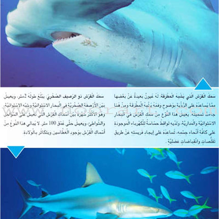Amazing Animals of the World (8 books)