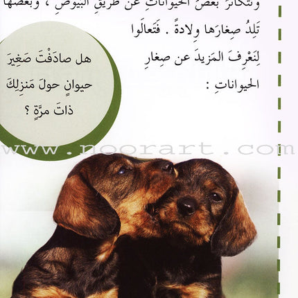 Useful Reading Series - Animals' Babies - Level A1 القراءة المفيدة - صغار الحيوانات
